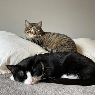 Xena & Midna